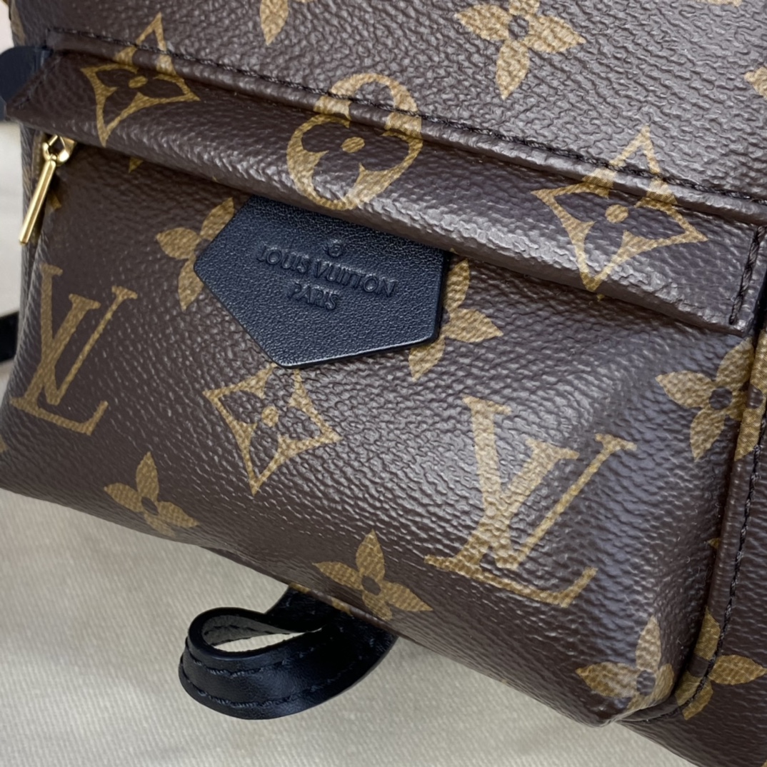 Louis Vuitton PALM SPRINGS PM Backpack Monogram M44871